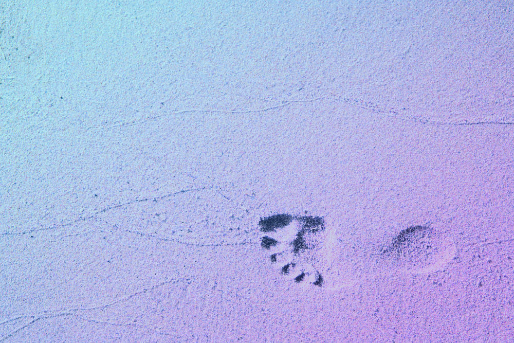 image of footprint on turquoise purple background