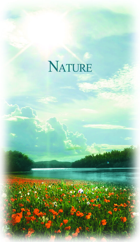 Image of a lake or wide river with orange flowers in the foreground, trees or bushes bordering the water in the middle, with a big sky of clouds and a white sun shining on all. Card text says Nature.